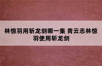 林惊羽用斩龙剑哪一集 青云志林惊羽使用斩龙剑